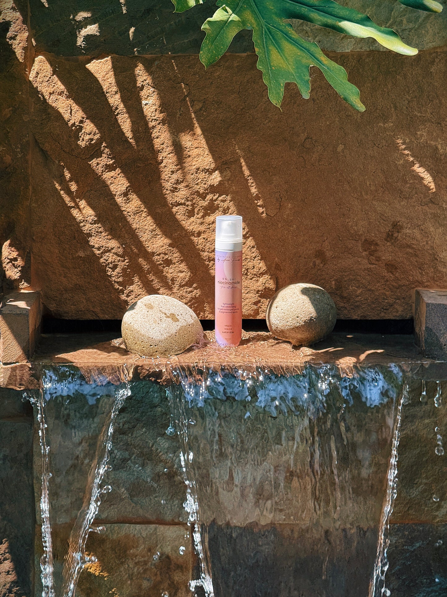 the niacinamide (targets pores & spots)