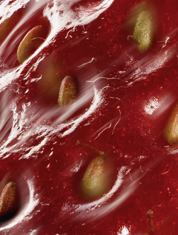 the magic peptides (anti-aging serum)